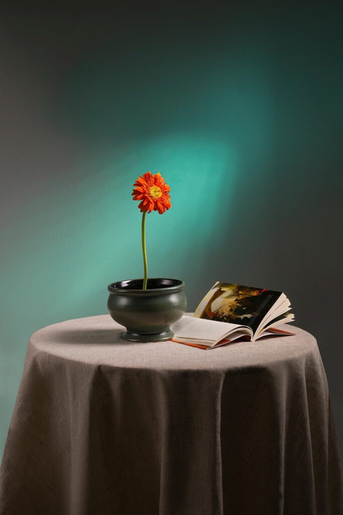 flowers, decor, gerbera, vase, flower vase, interior design, flower wallpaper, beautiful flowers, nature, flower background, book